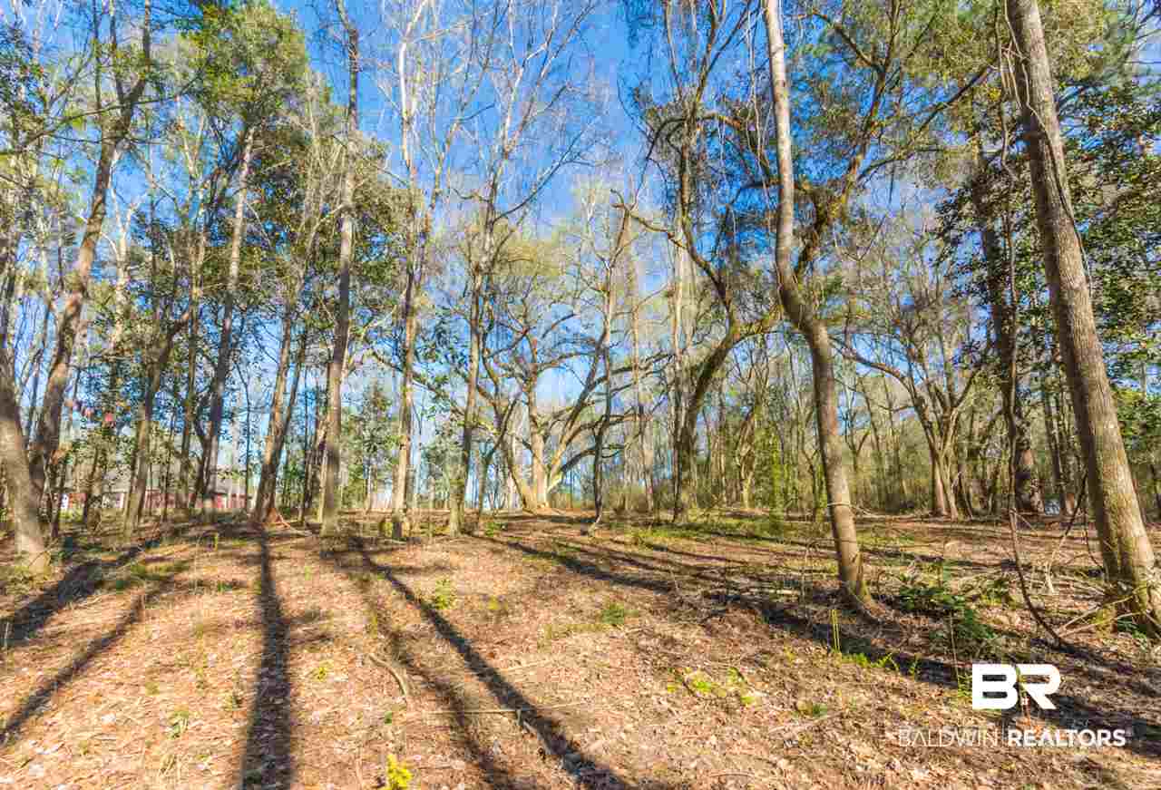 25923 Chene Trace Robertsdale, AL 36567 - Photo 5 of 9