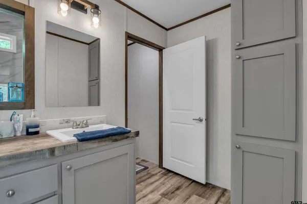 a bathroom with a sink and a mirror