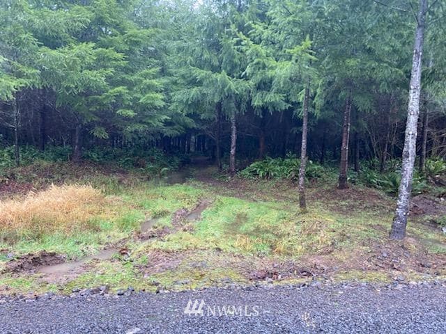0 Grand Ridge Toutle, WA 98649 - Photo 1 of 1 a backyard of a house with lots of green space