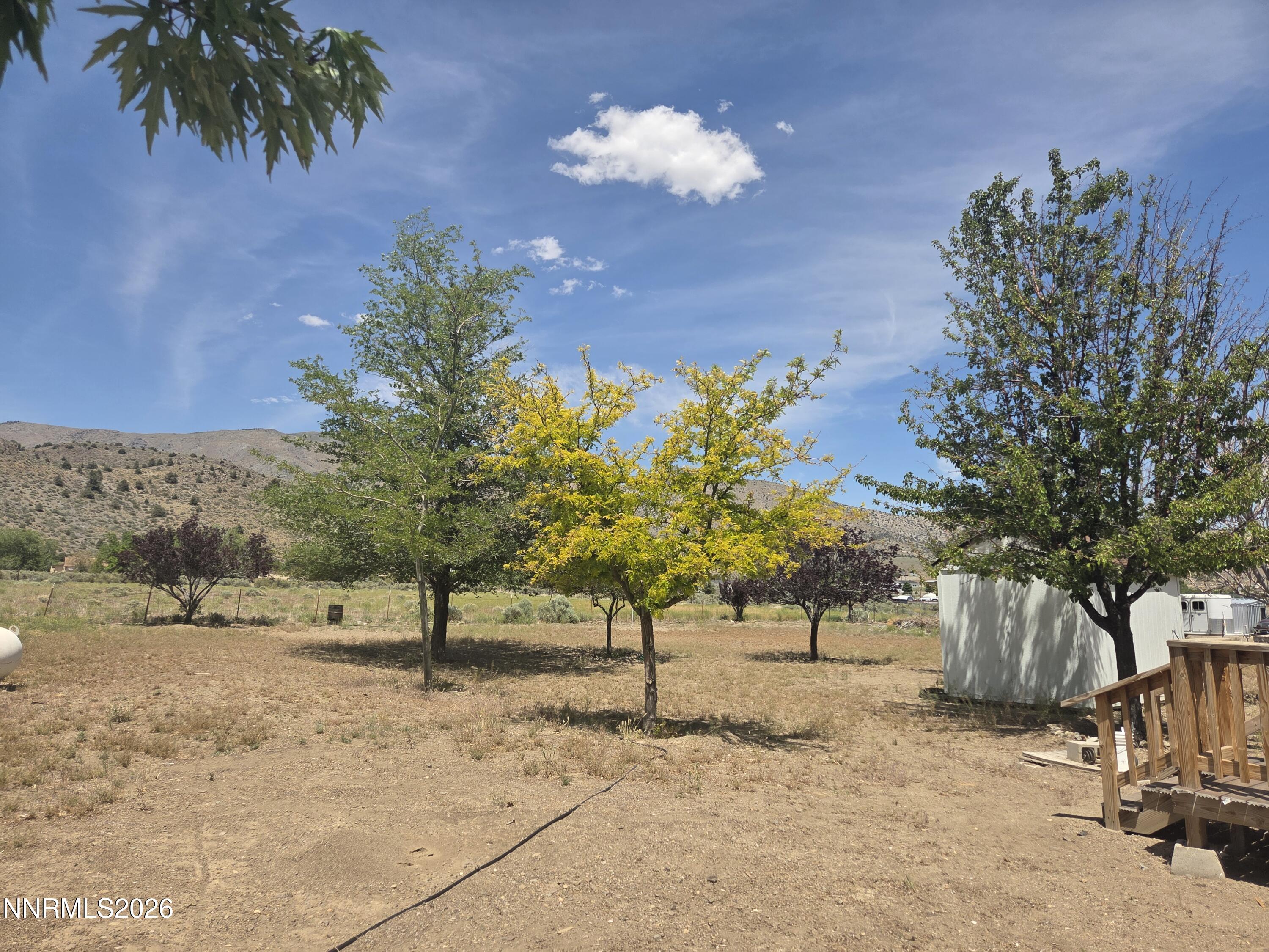 3910 Walker View Road Topaz Ranch Estates, NV 89444 - Photo 24 of 40 20260602_134705