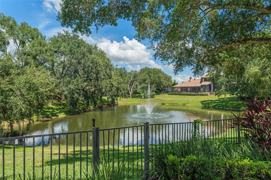 9731 Chestnut Ridge Drive Windermere, FL 34786 - Photo 51 of 57 a view of lake from a balcony