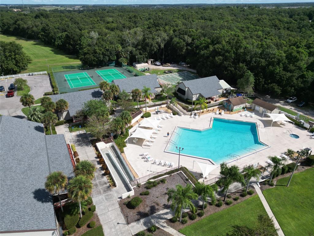 4106 Greenbluff Road, Unit 824 Zellwood, FL 32798 - Photo 39 of 48