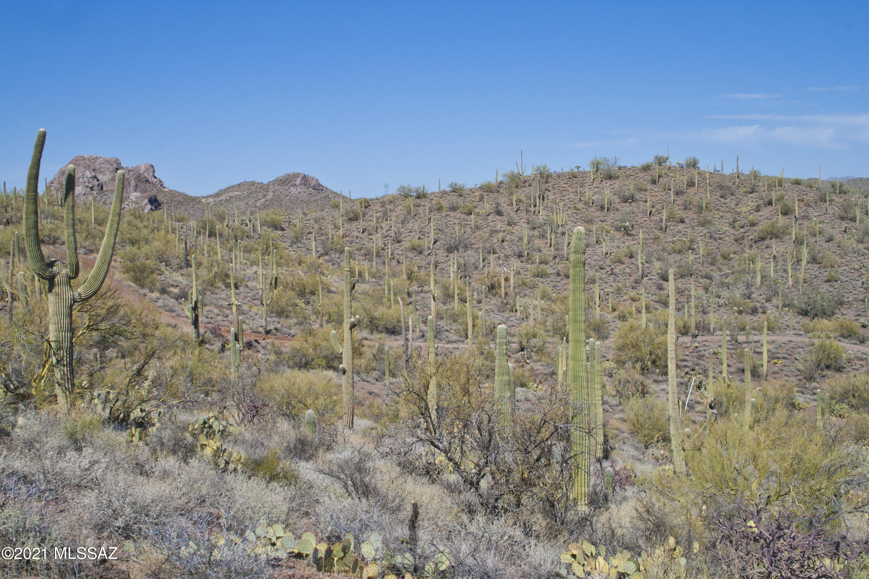 0 South Hannibal Road Marana, AZ 85658 - Photo 3 of 24