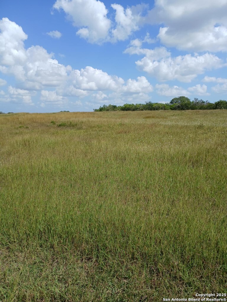 1121 Colony Road Beeville, TX 78102 - Photo 10 of 19 Gallery Image 10