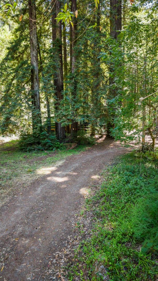 8400 Tyrone Road Monte Rio, CA 95462 - Photo 14 of 61 Gallery Image 14