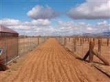 5360 South Sandario Road Tucson, AZ 85735 - Photo 6 of 8