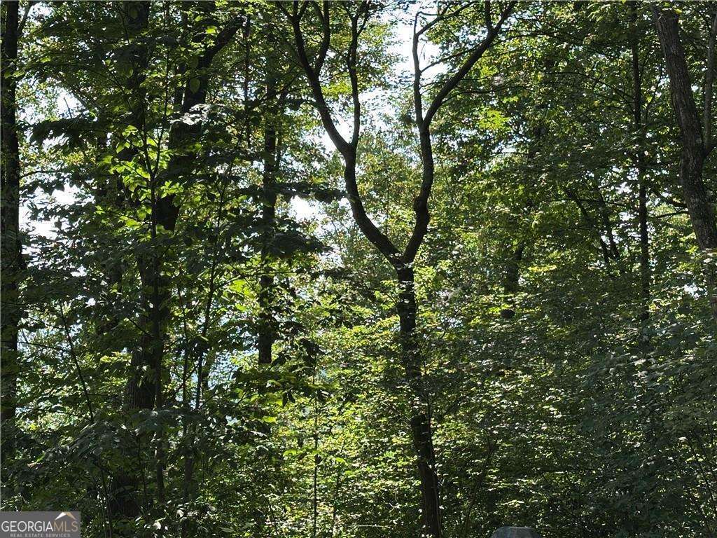 257 Andes Ridge Jasper, GA 30143 - Photo 13 of 24 a view of a tree