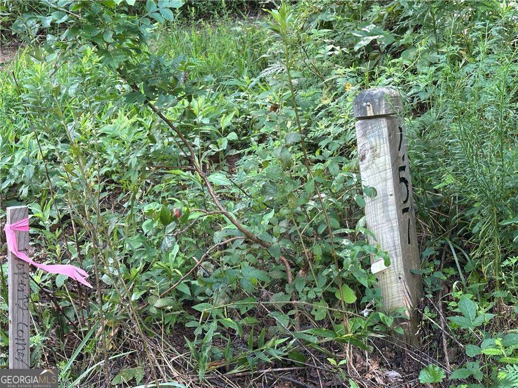 257 Andes Ridge Jasper, GA 30143 - Photo 14 of 24 a backyard of a house with lots of green space and a fountain