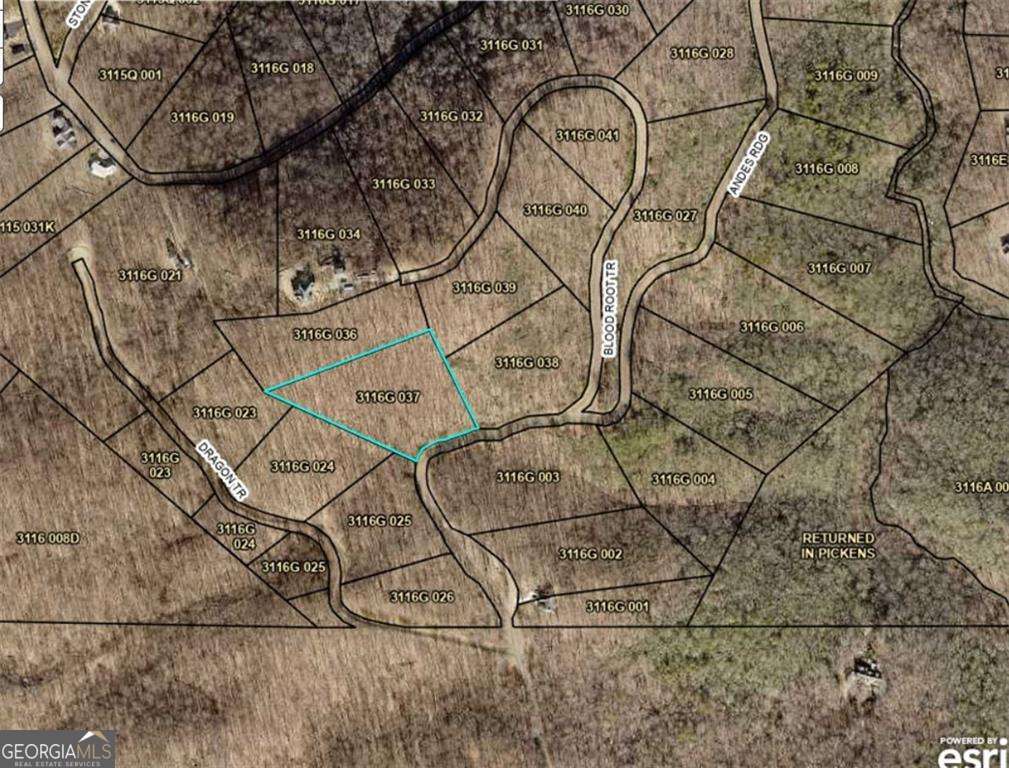 257 Andes Ridge Jasper, GA 30143 - Photo 15 of 24 a picture of a tree