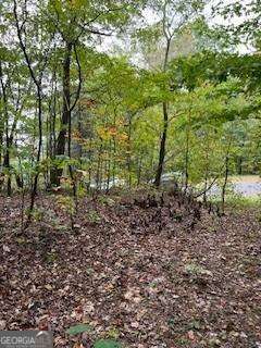 257 Andes Ridge Jasper, GA 30143 - Photo 17 of 24 a view of a forest with trees