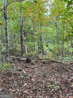 257 Andes Ridge Jasper, GA 30143 - Photo 18 of 24 a big yard with lots of green space