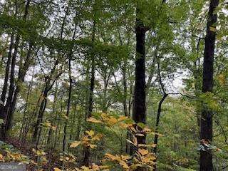 257 Andes Ridge Jasper, GA 30143 - Photo 20 of 24 a view of forest