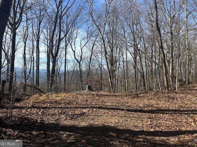 257 Andes Ridge Jasper, GA 30143 - Photo 2 of 24 a view of a backyard of the house