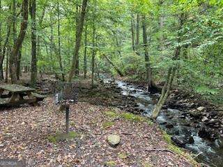 257 Andes Ridge Jasper, GA 30143 - Photo 21 of 24 a backyard of a house with lots of green space