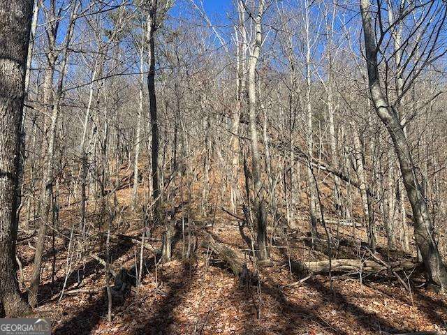 257 Andes Ridge Jasper, GA 30143 - Photo 3 of 24 a view of a yard with trees
