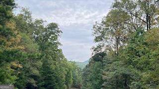 257 Andes Ridge Jasper, GA 30143 - Photo 4 of 24 a picture of trees