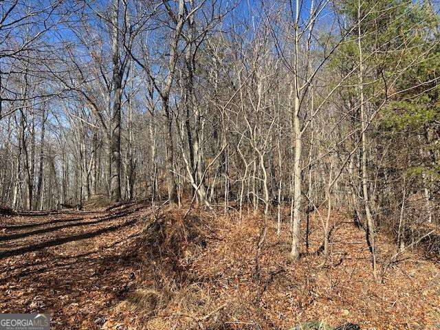 257 Andes Ridge Jasper, GA 30143 - Photo 5 of 24 a view of a backyard of the house