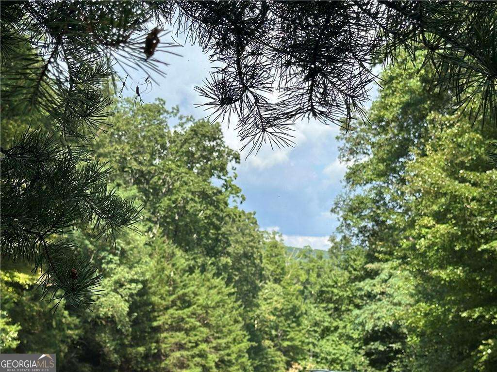 257 Andes Ridge Jasper, GA 30143 - Photo 6 of 24 an aerial view of residential house with outdoor space and trees all around