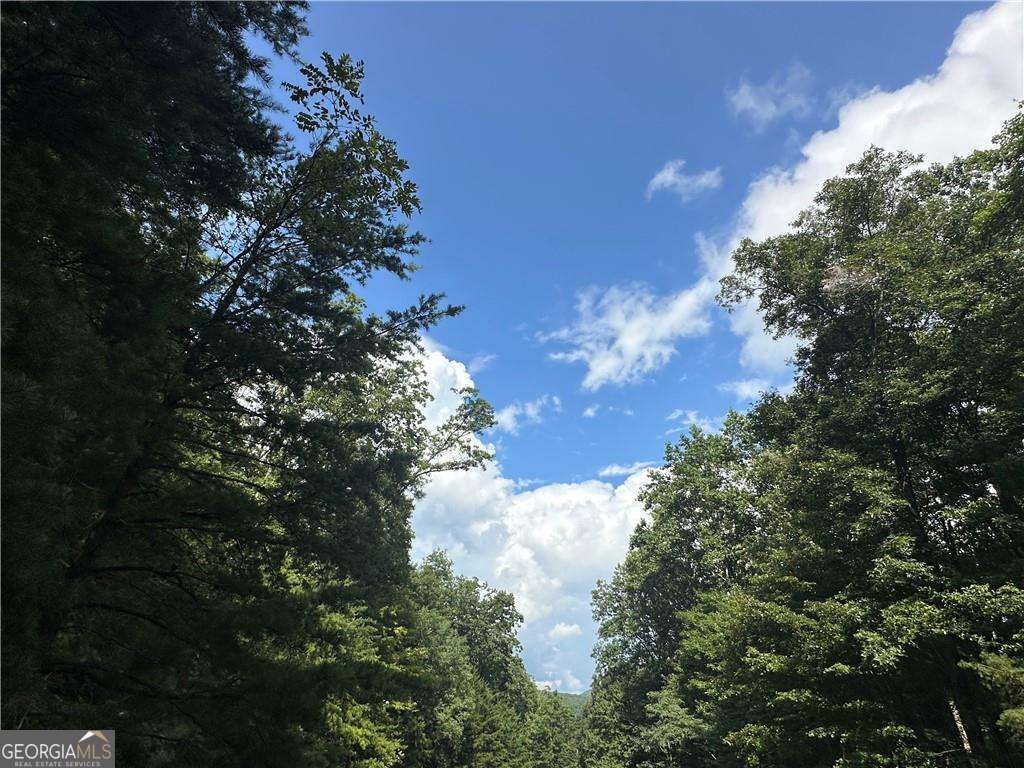 257 Andes Ridge Jasper, GA 30143 - Photo 7 of 24