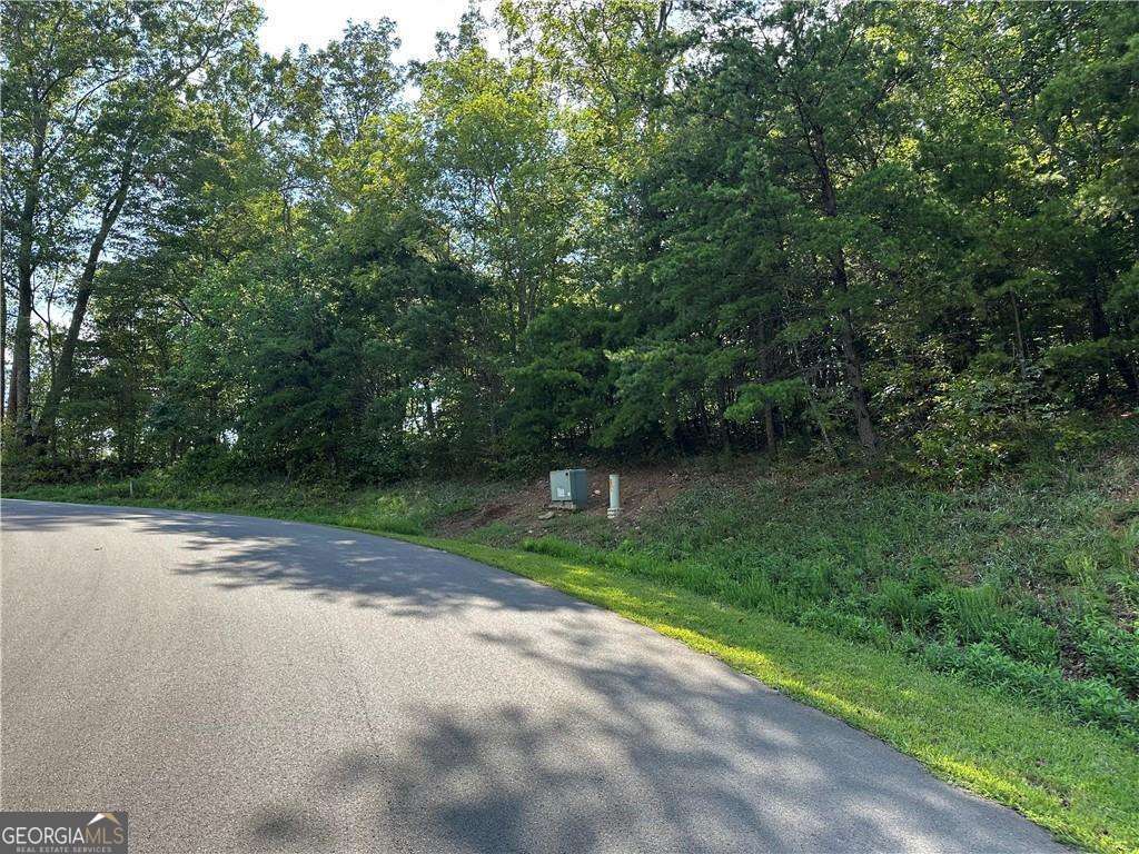 257 Andes Ridge Jasper, GA 30143 - Photo 8 of 24 a view of a yard with a trees