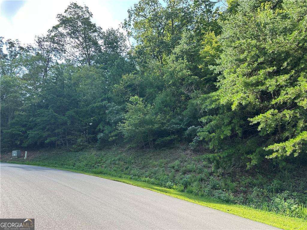 257 Andes Ridge Jasper, GA 30143 - Photo 9 of 24 a view of a yard with a street