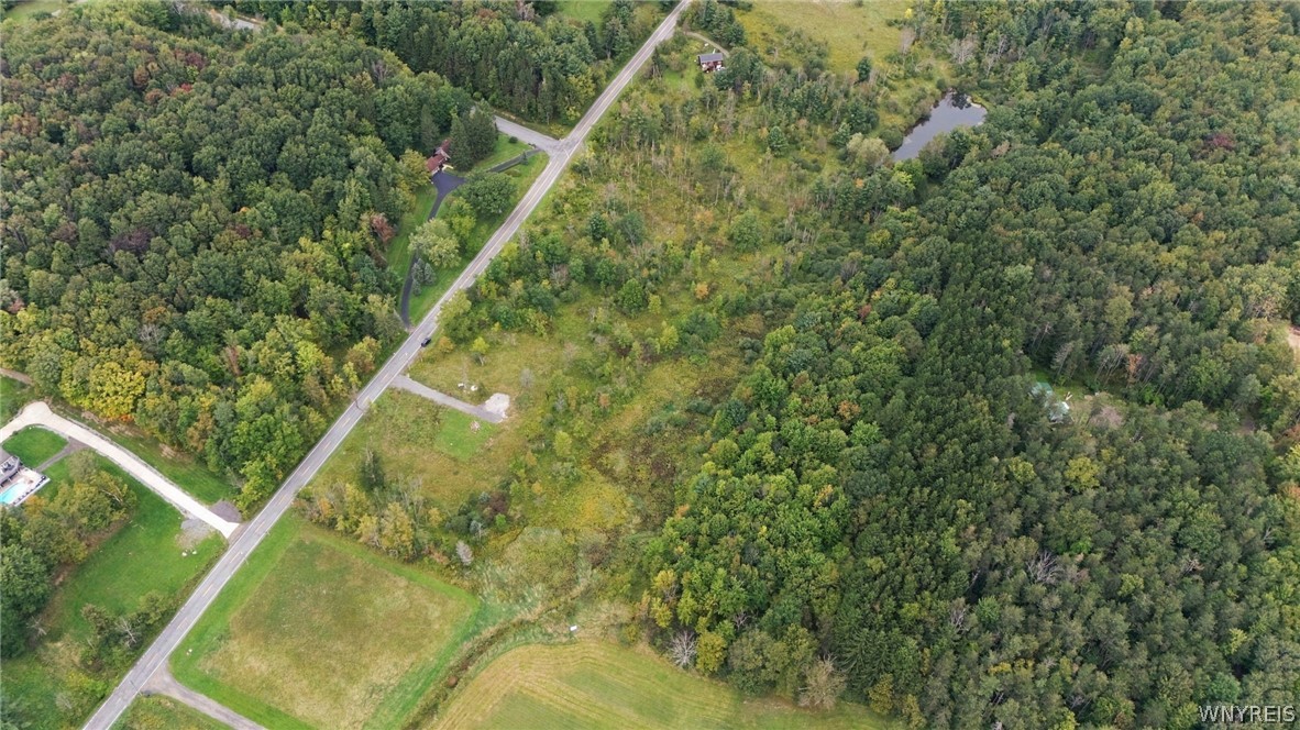 8049 Irish Road Colden, NY 14033 - Photo 15 of 30 Gallery Image 15