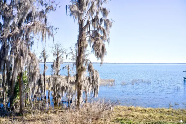 $999,000 | 9631 County Road 1469, Earleton, FL 32631