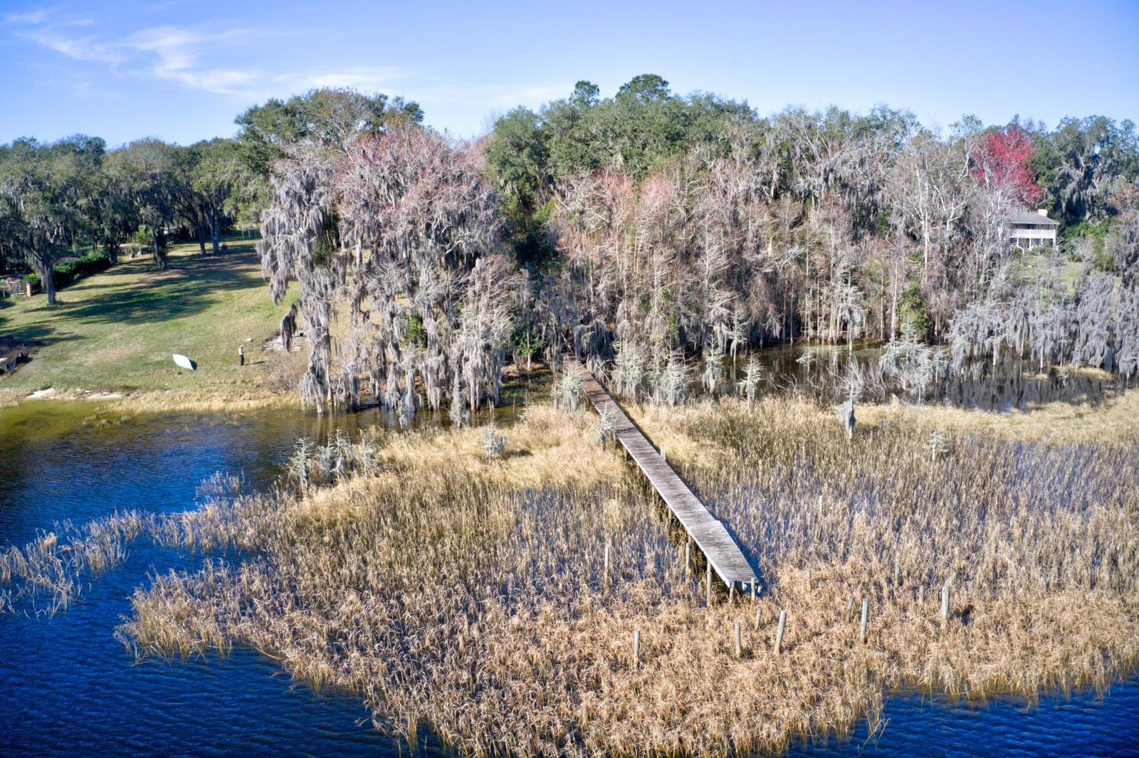 9631 County Road 1469 Earleton, FL 32631 - Photo 7 of 17
