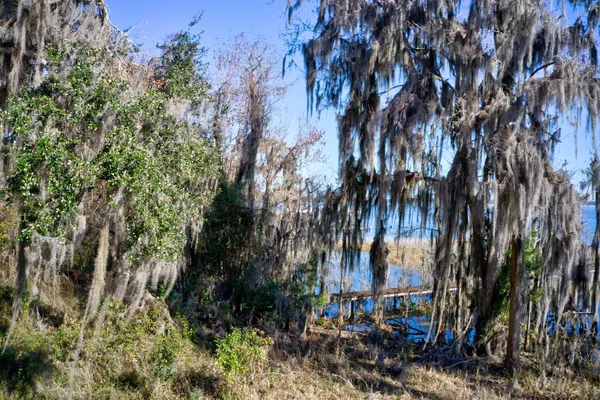 a view of swimming pool with seating space