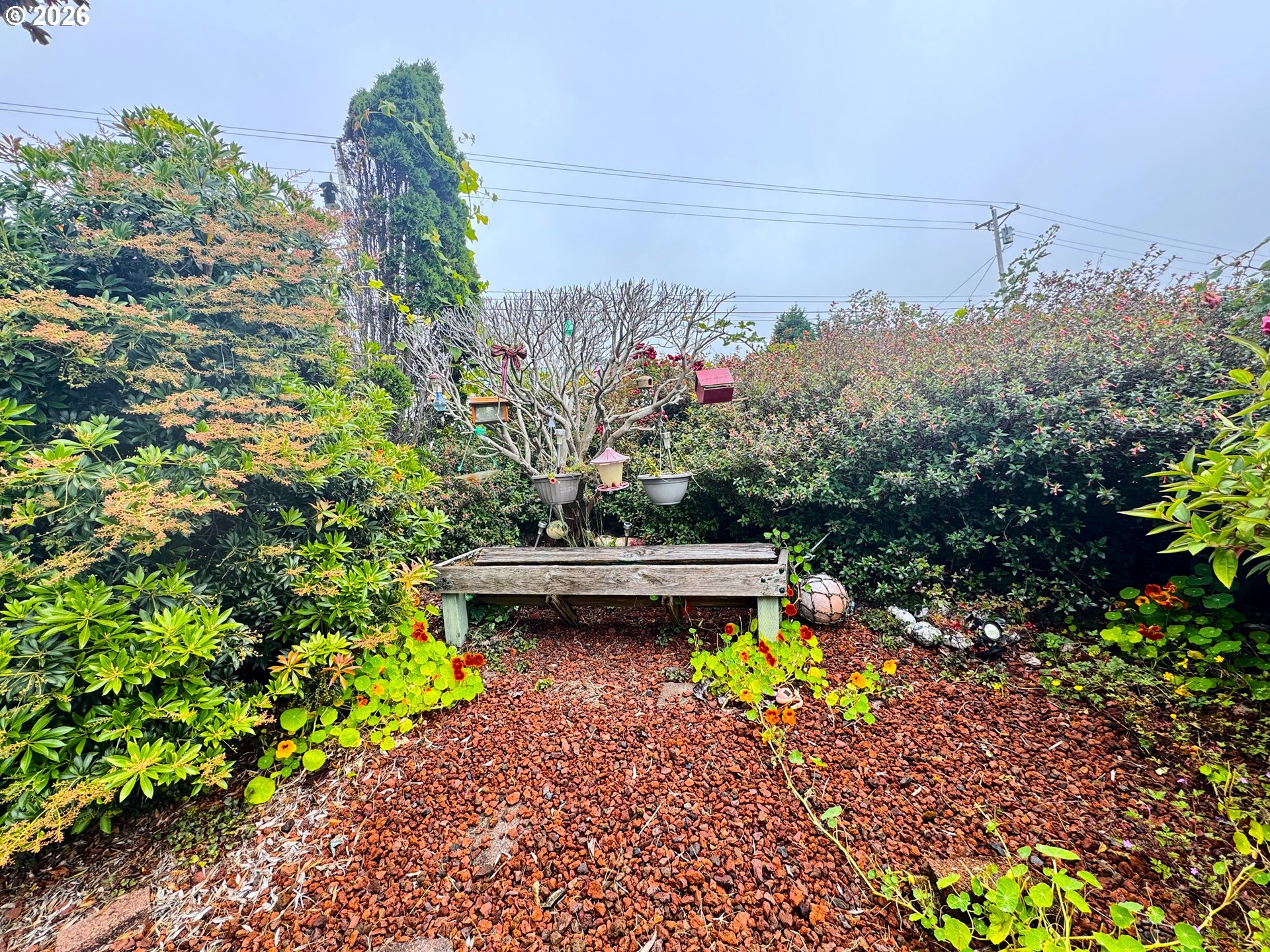 1029 Fifield Street Brookings, OR 97415 - Photo 43 of 44 Front Yard