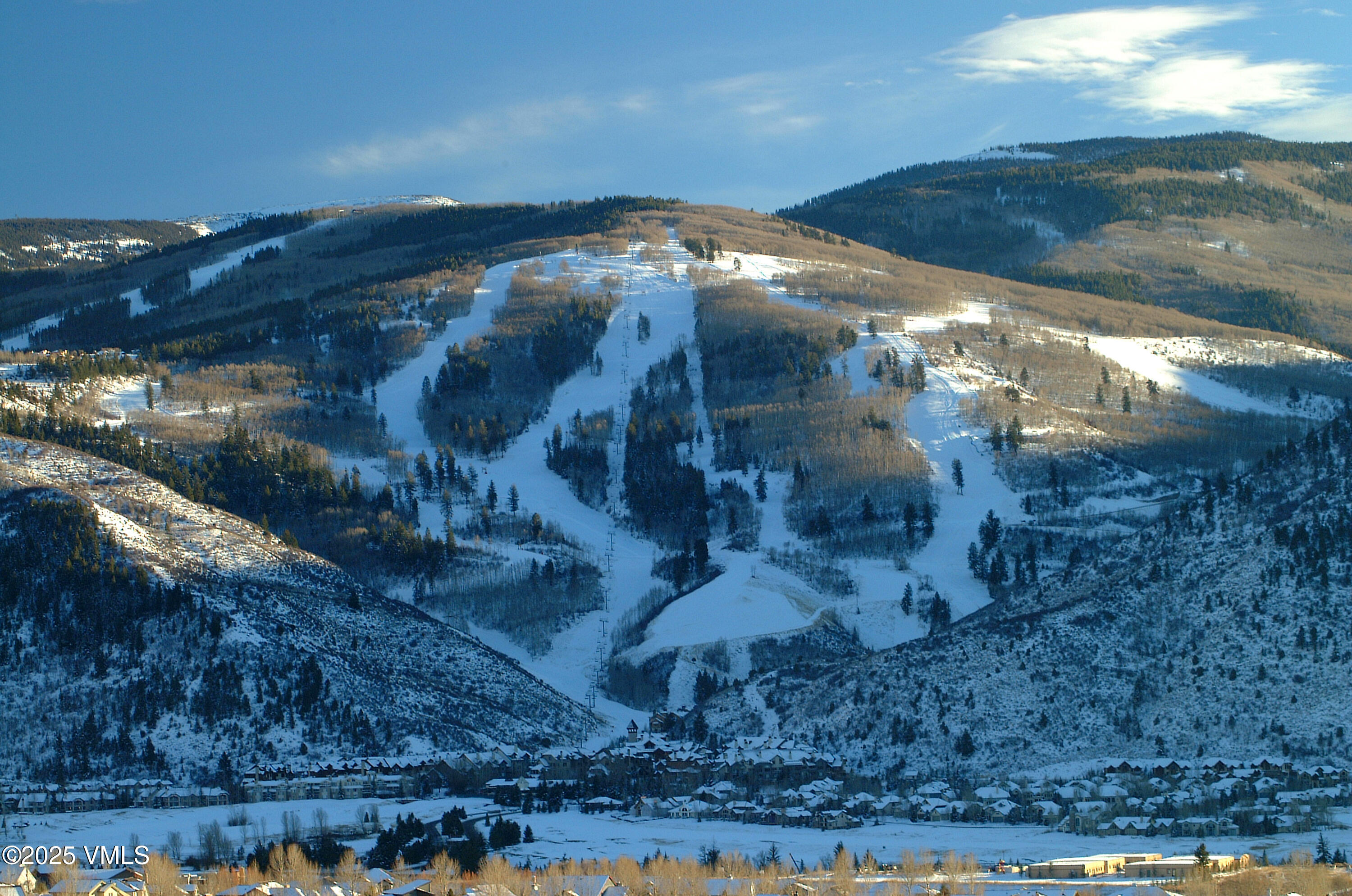 160 Cresta Road, Unit R202 Edwards, CO 81632 - Photo 13 of 25 a view of lot of trees