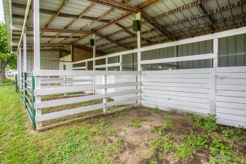 a view of a field with a tree in it