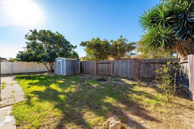 a backyard with tree