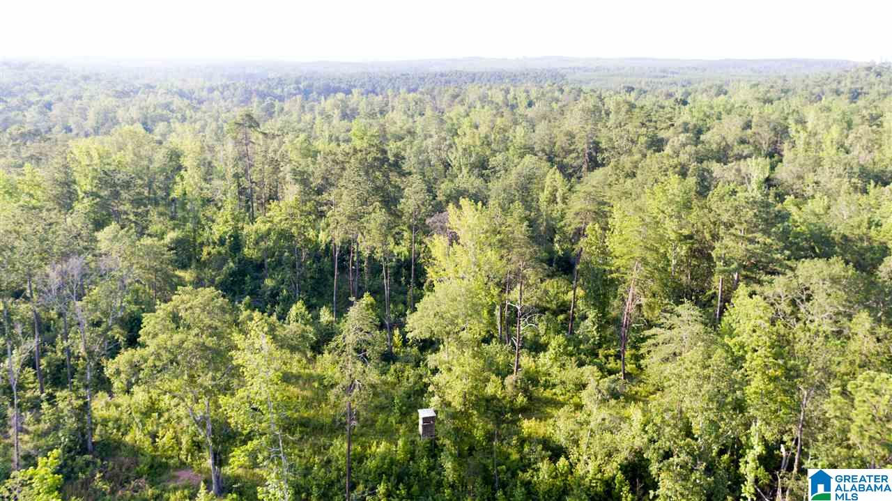180 Gibson Road, Unit 76 / ACRES OFF GIBSON R Columbiana, AL 35051 - Photo 6 of 50