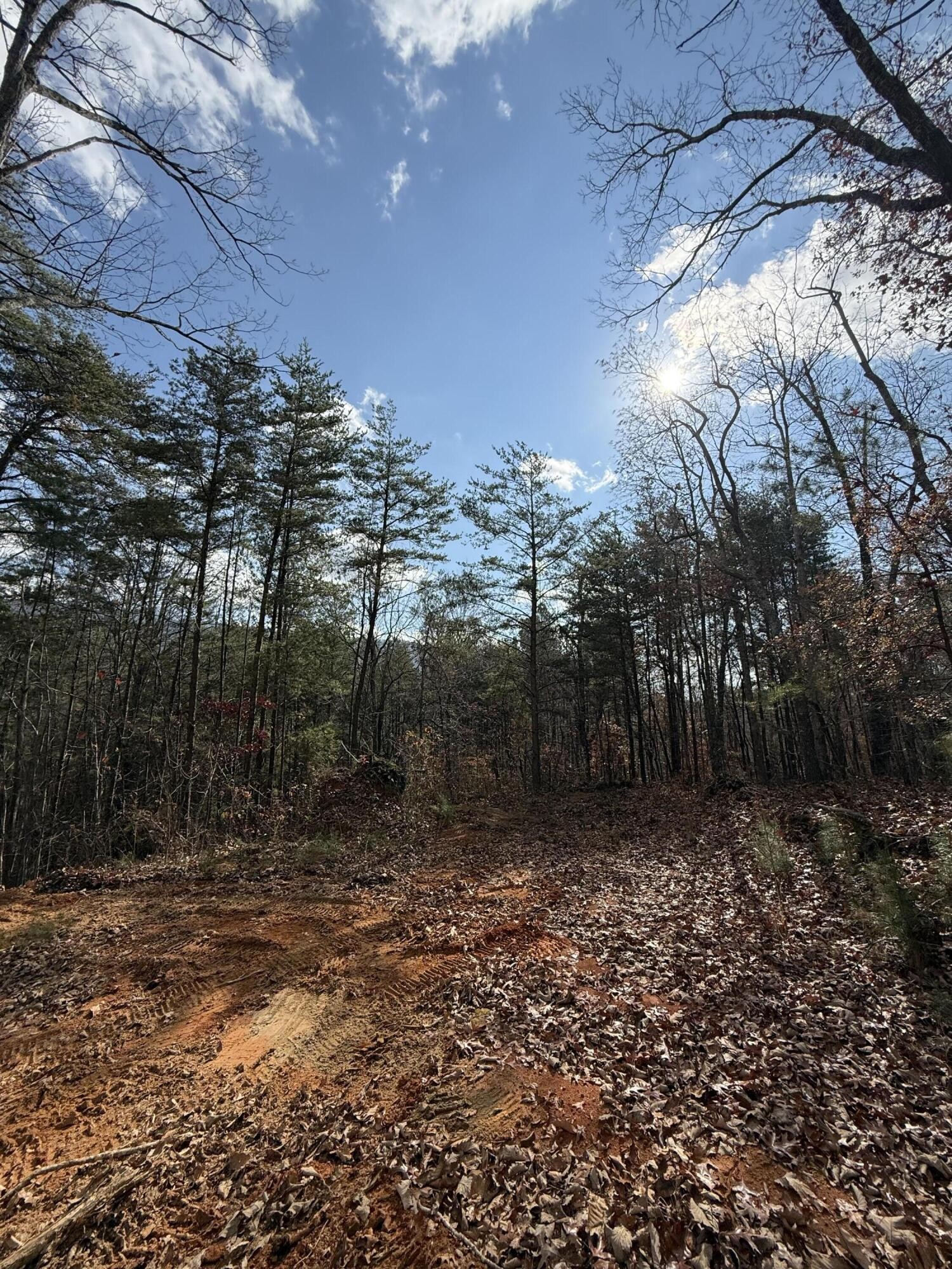 1 Parksville Road Benton, TN 37307 - Photo 8 of 16