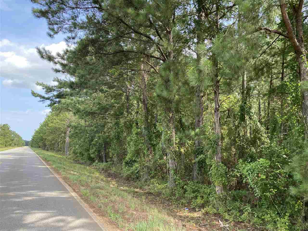 11 Booneville Road Atmore, AL 36502 - Photo 1 of 23