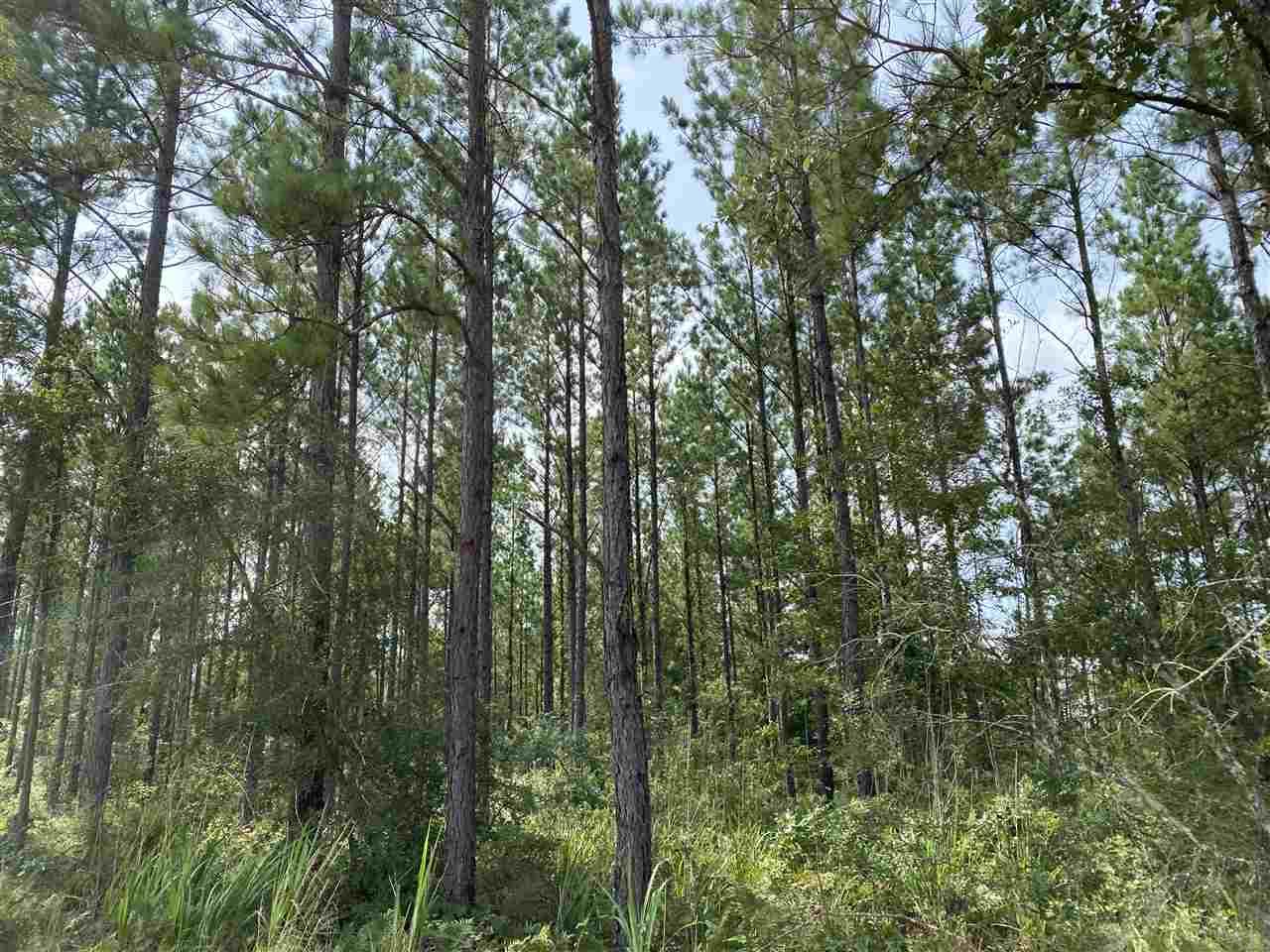 11 Booneville Road Atmore, AL 36502 - Photo 14 of 23