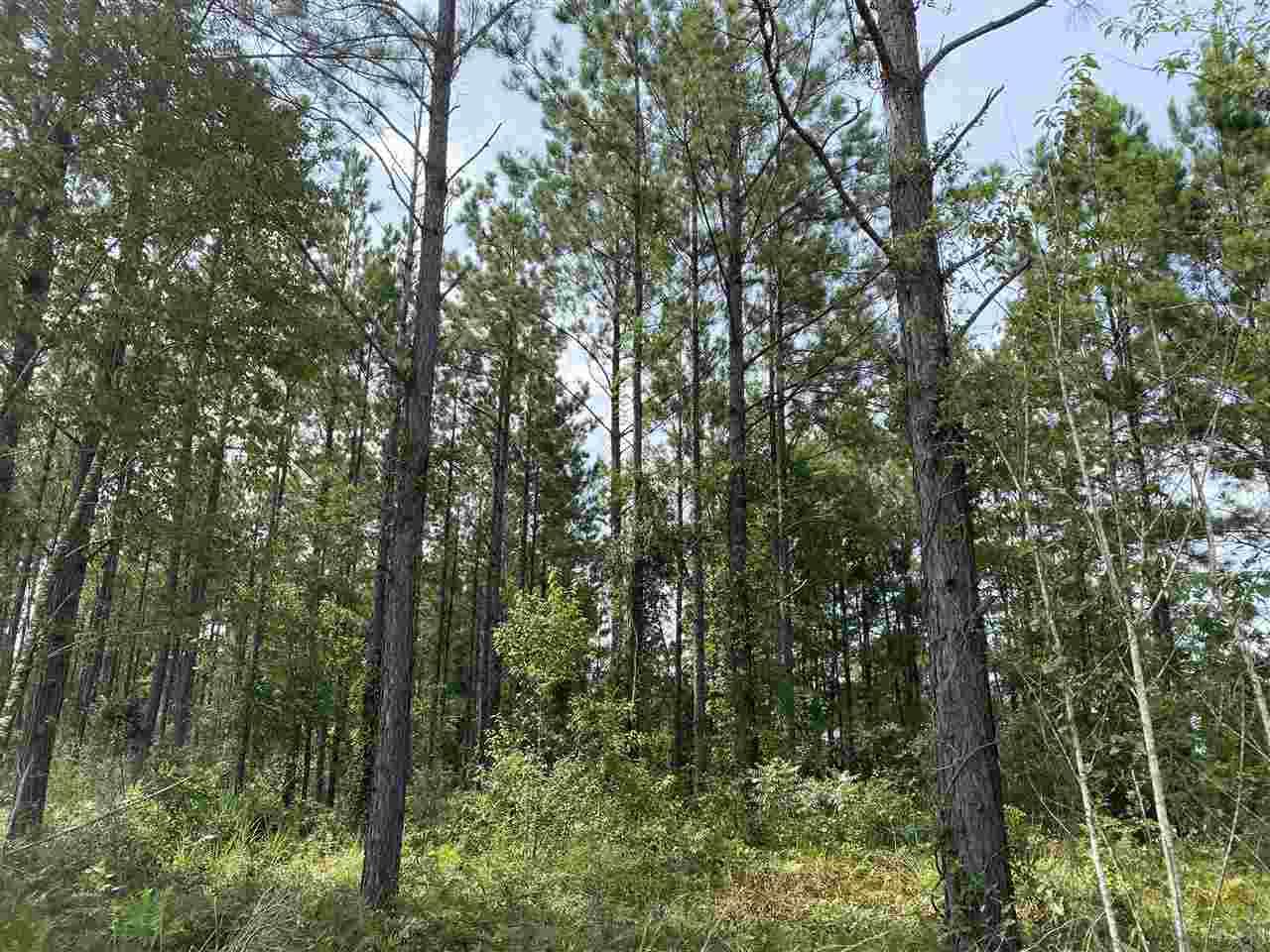11 Booneville Road Atmore, AL 36502 - Photo 9 of 23