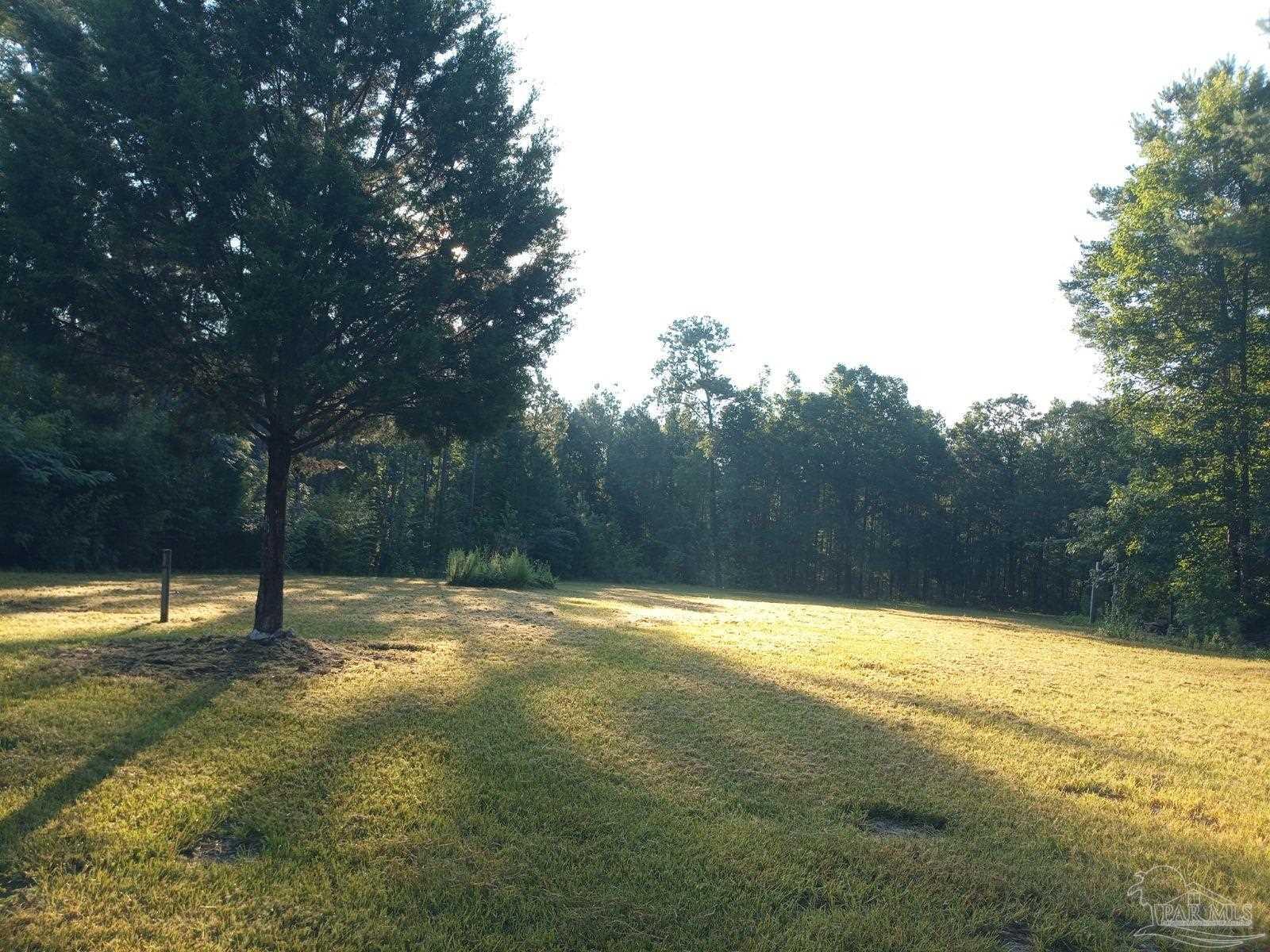 6506 Daniel Griffis Road Jay, FL 32565 - Photo 19 of 23