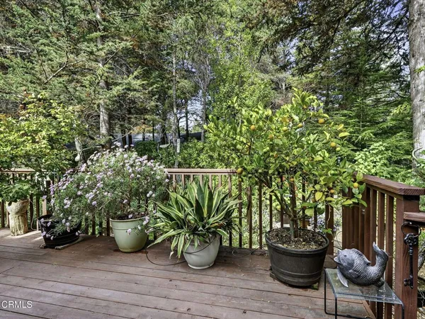 a view of outdoor space and garden