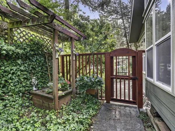 a view of a backyard with plants