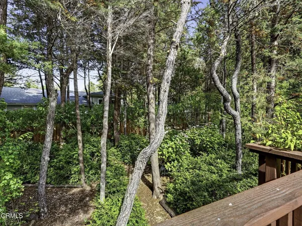a view of a house with a tree