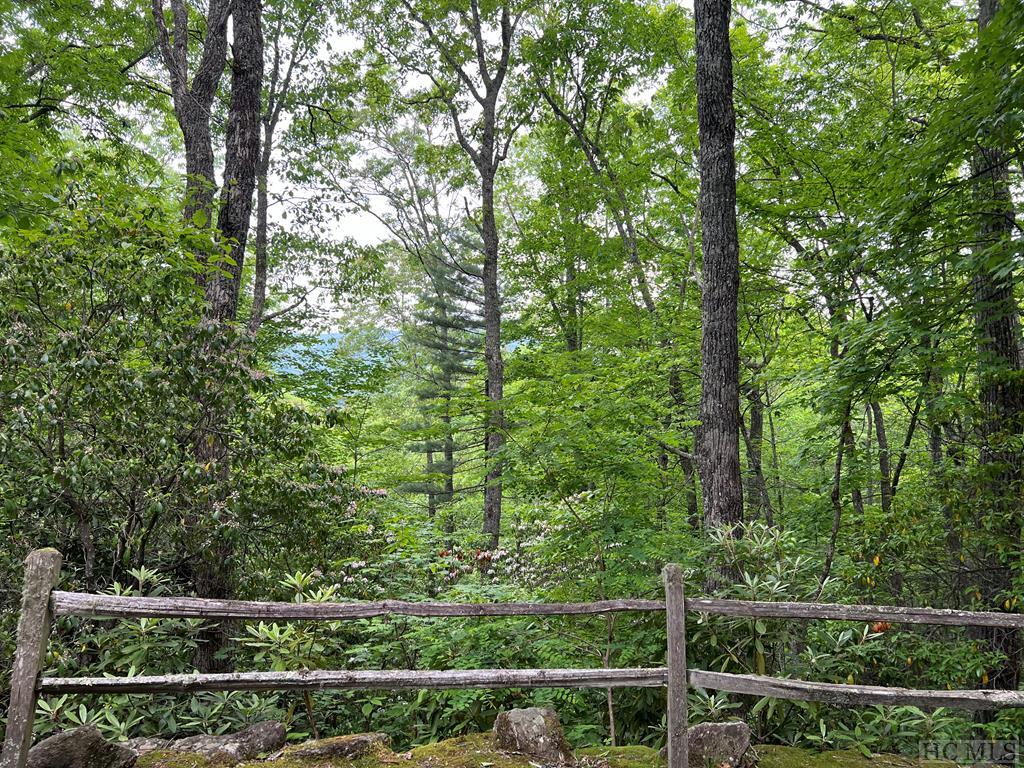 Lot # Shepherds Gap Road Cullowhee, NC 28723 - Photo 5 of 5 Gallery Image 5