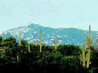 11 South Triangle H Ranch Place Vail, AZ 85641 - Photo 5 of 5