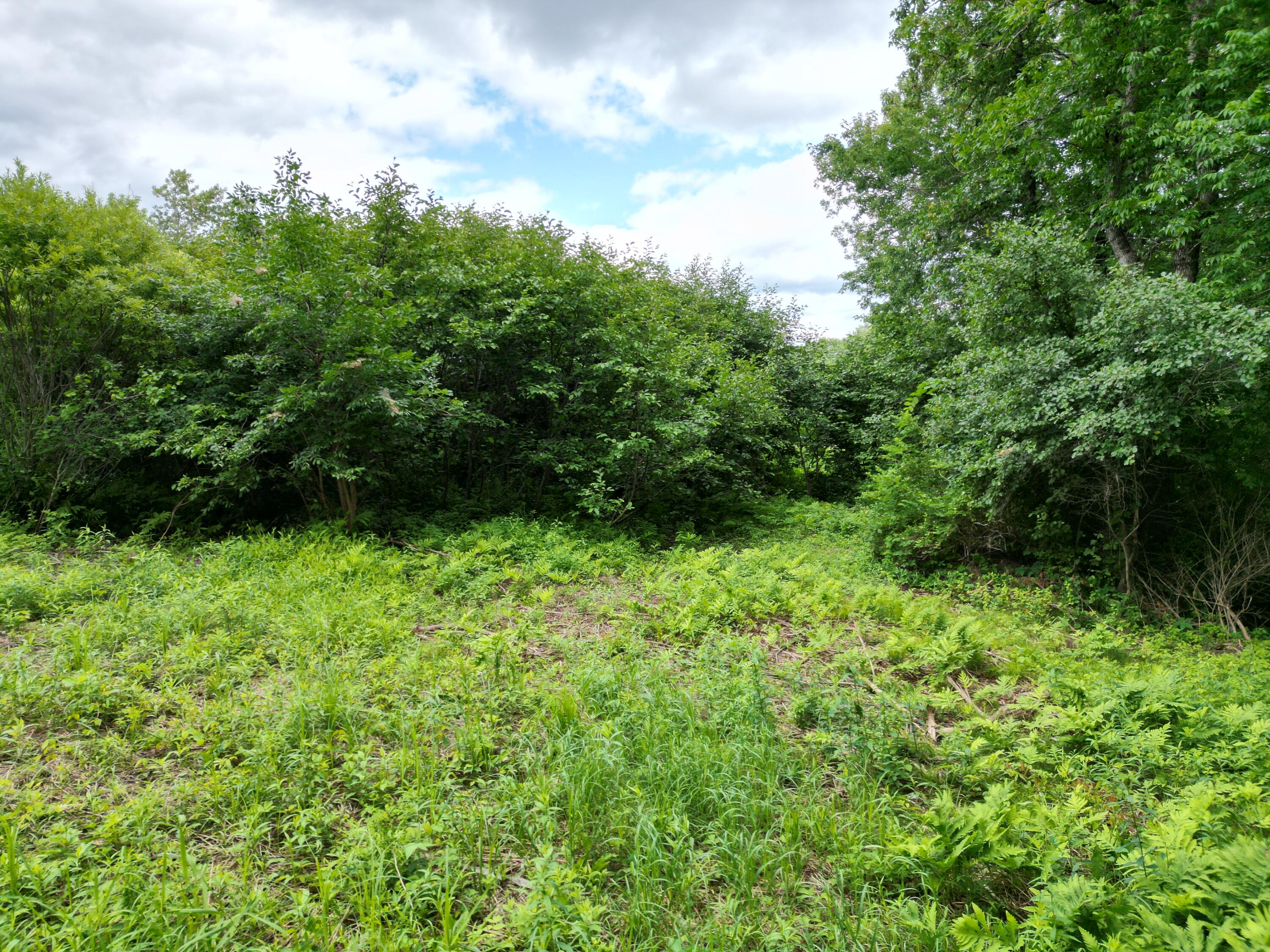 Lot 19 North Chester Road Lincoln, ME 04457 - Photo 5 of 17 DJI_0002