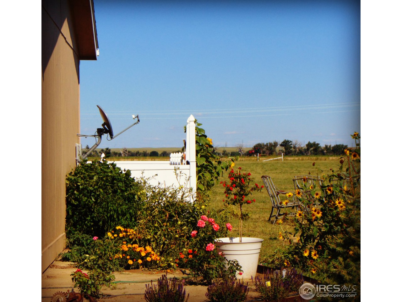 side yard