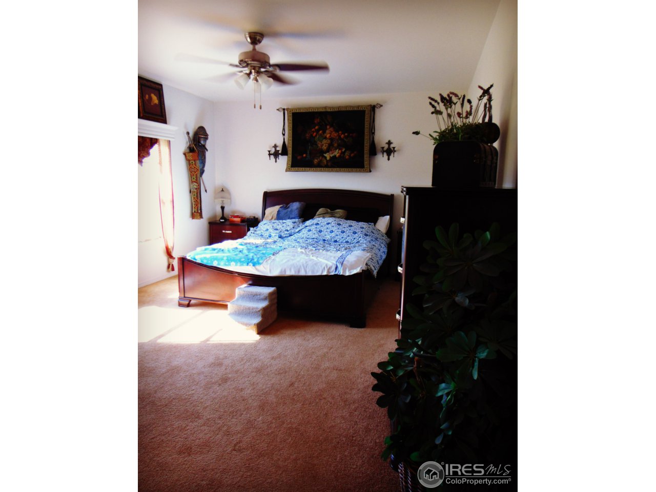 13 East Ranch Road Wiggins, CO 80654 - Photo 8 of 14 Master Bedroom