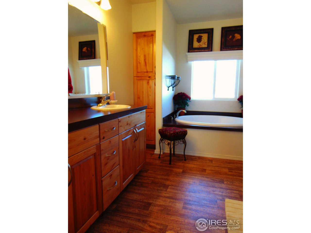 13 East Ranch Road Wiggins, CO 80654 - Photo 9 of 14 Master Bath