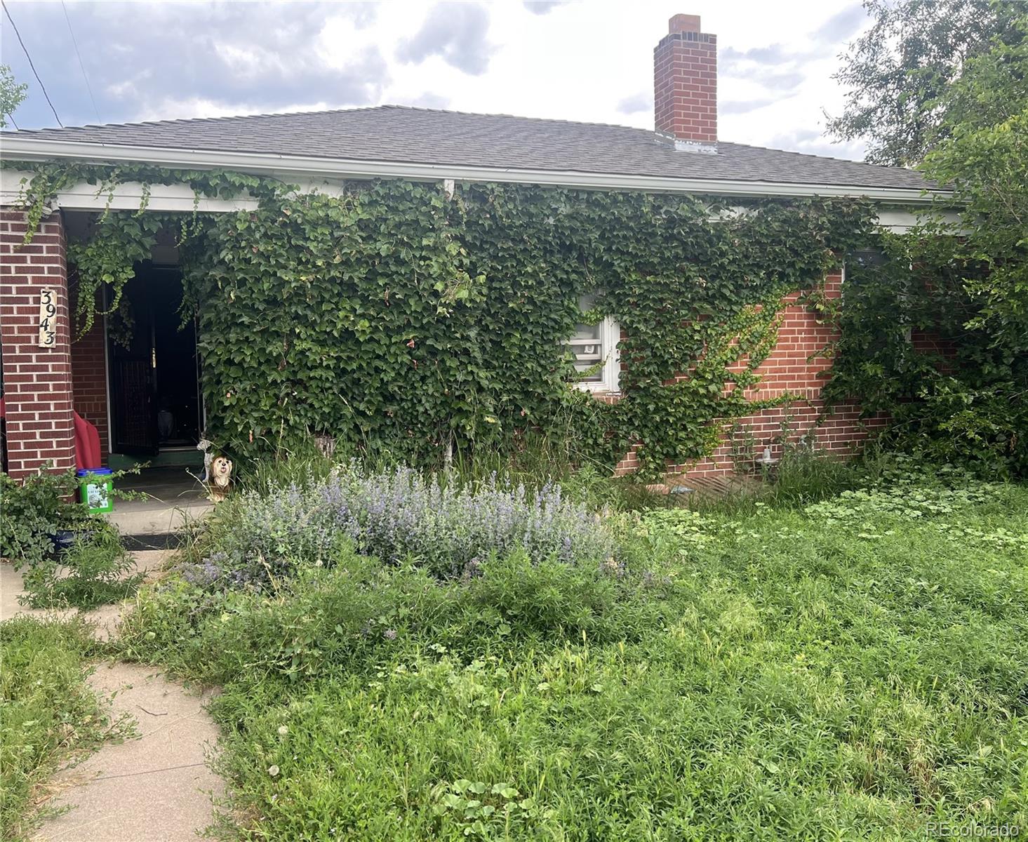 a view of a lake with a yard