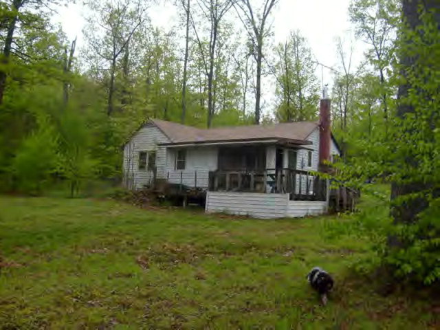 Main View